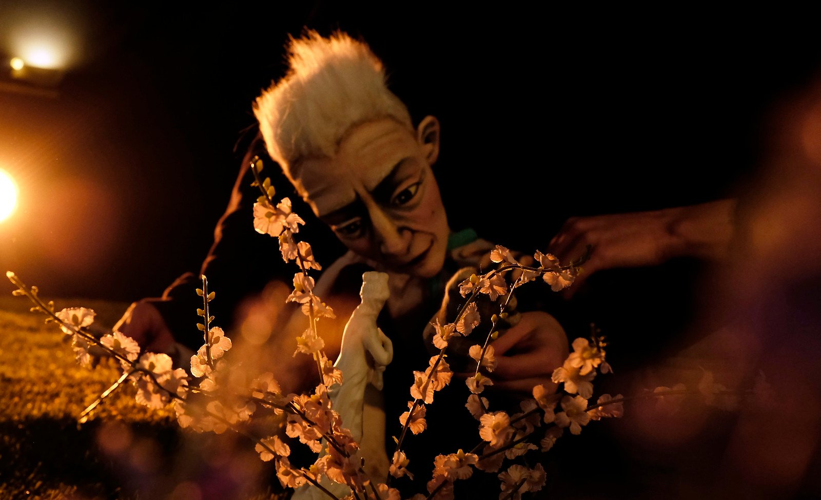 50399847288_110d348ac3_h